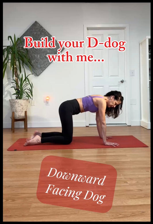 Build your Downdog with me!